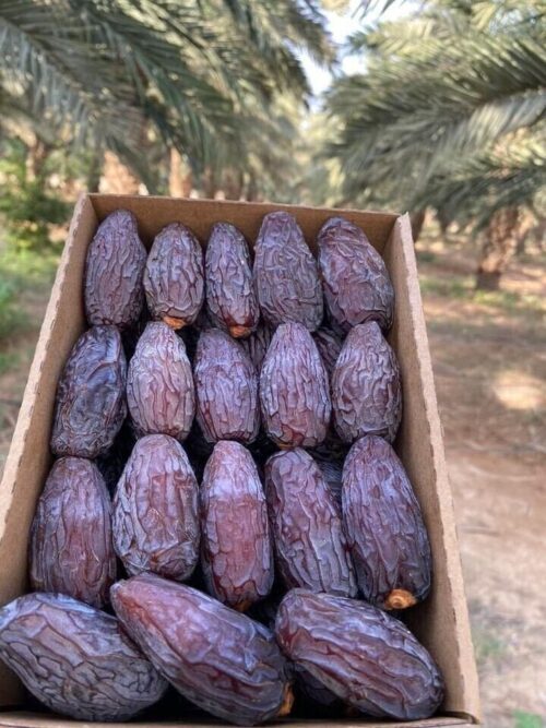 Egyptian Medjool Dates – 5 kg (Super Jumbo)