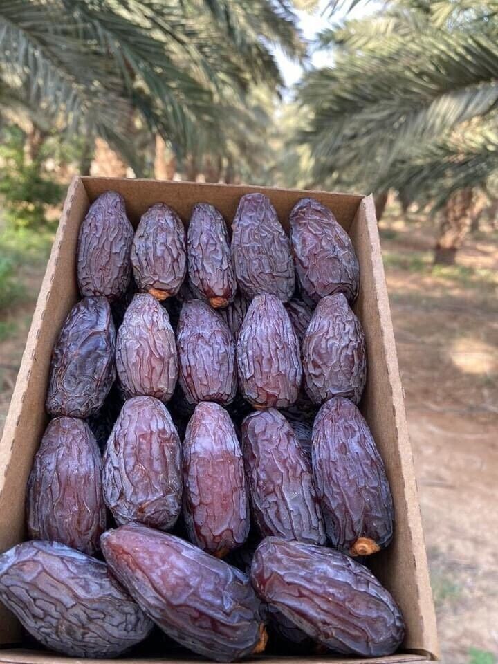 Egyptian Medjool Dates – 5 kg (Super Jumbo)